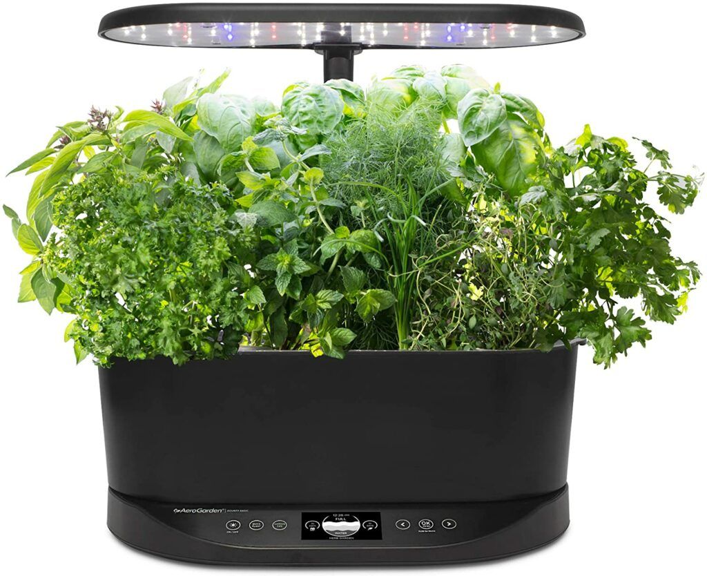 What's the Best Way to Start a Hydroponic Garden- Aero Garden Bounty -02 display..