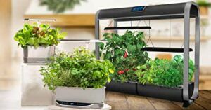 What's the Best Way to Start a Hydroponic Garden-Smart Hydro Indoor Herb Garden- Different Size Hydroponic Containers for All Occasions in the house.